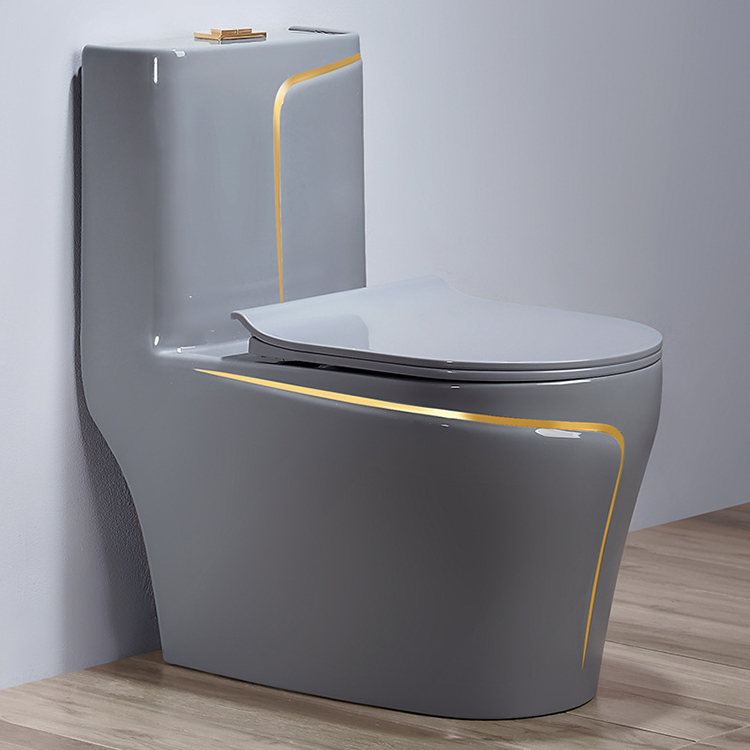 مرحاض سيراميك رمادي بقطعة واحد - مراجعة Home Bathroom Ware وسعره