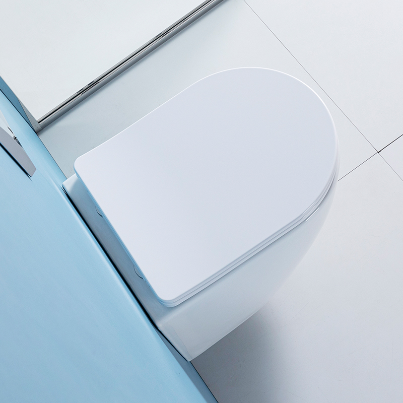 مرحاض معلق على الحائط HM-207 ب - مراجعة Home Bathroom Ware وسعره