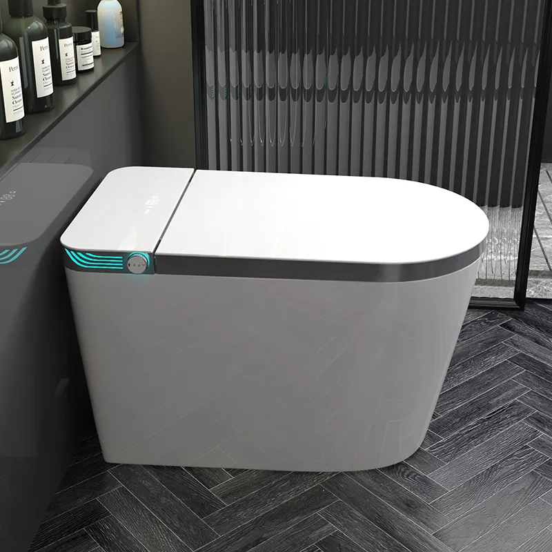 مرحاض ذكي من قطعة واحدة من مور - مراجعة Home Bathroom Ware وسعره