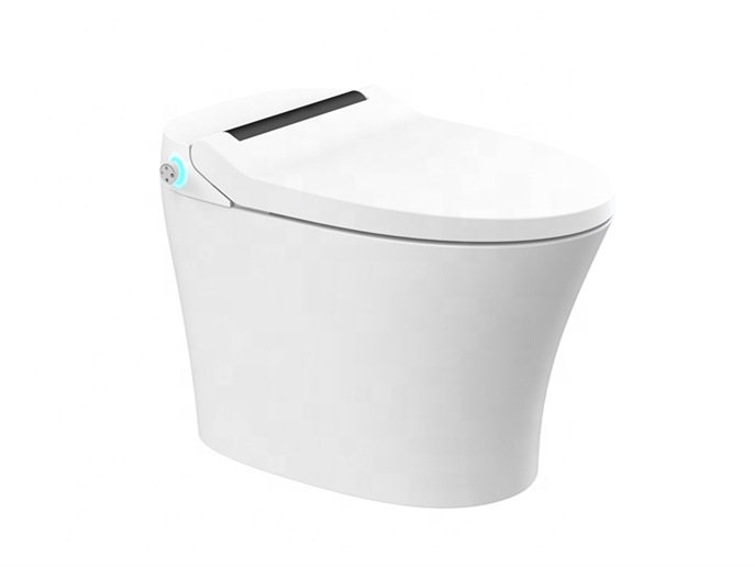 غطاء مقعد مرحاض ذكي سهل التركي - مراجعة Home Bathroom Ware وسعره