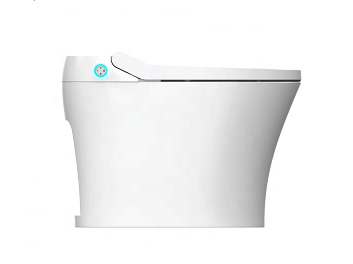 غطاء مقعد مرحاض ذكي سهل التركي - مراجعة Home Bathroom Ware وسعره