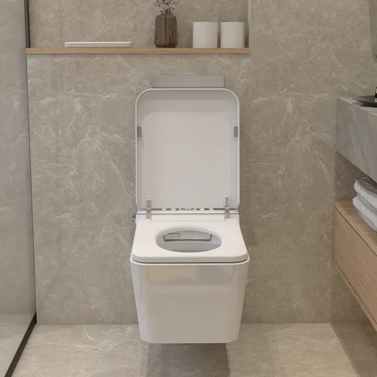 مرحاض ذكي معلق على الحائط مع ت - مراجعة Home Bathroom Ware وسعره